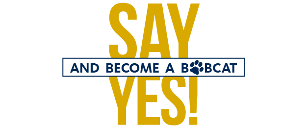 Say YES and Become a Bobcat, today!