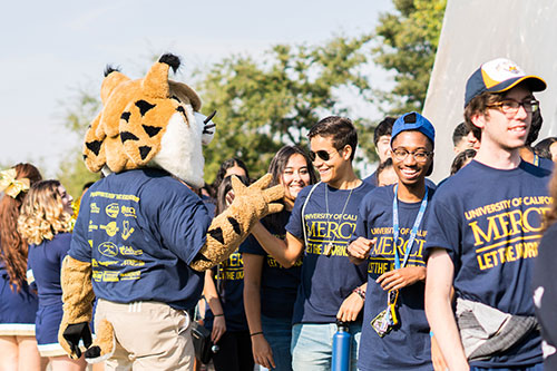 Will You Be a Bobcat? | Undergraduate Admissions