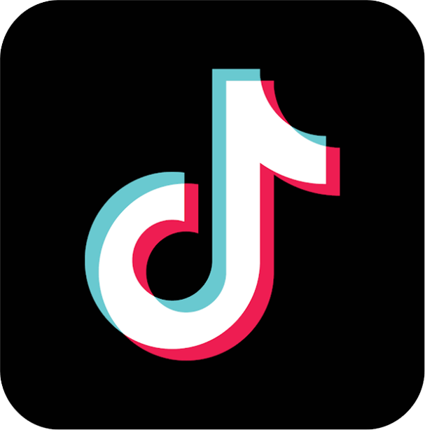 TikTok Logo